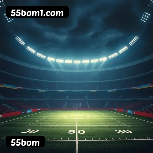 Estatísticas de bônus da 55bom em São Paulo, Rio de Janeiro e Brasília